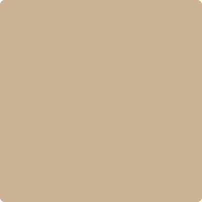 Shop the paint color CC-338 Bluffs by Benjamin Moore at Anderson Paint Company in Ann Arbor, Michigan.