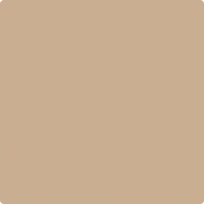 Shop the paint color CC-488 Biscotti by Benjamin Moore at Anderson Paint Company in Ann Arbor, Michigan.