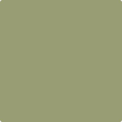 Shop the paint color CC-668 Misted Fern by Benjamin Moore at Anderson Paint Company in Ann Arbor, Michigan.