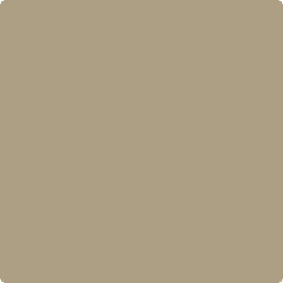 Shop the paint color CSP-1040 Shiitake Mushroom by Benjamin Moore at Anderson Paint in Ann Arbor, MI.