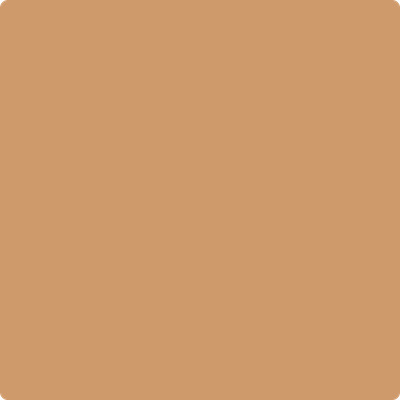 Shop the paint color CSP-1070 Warm Sun Glow by Benjamin Moore at Anderson Paint in Ann Arbor, MI.
