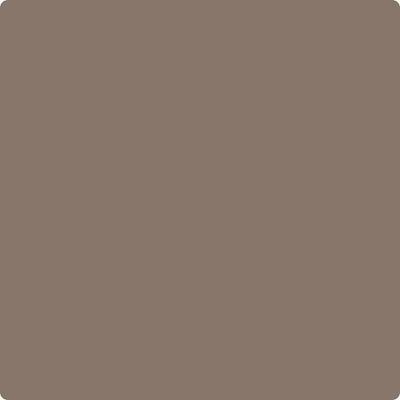 Shop the paint color CSP-235 Chocolate Velvet by Benjamin Moore at Anderson Paint in Ann Arbor, MI.