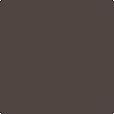 Shop the paint color CSP-240 Brownstone by Benjamin Moore at Anderson Paint in Ann Arbor, MI.