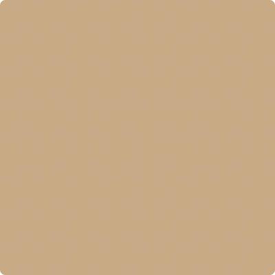 Shop the paint color CSP-285 Camel Hair by Benjamin Moore at Anderson Paint in Ann Arbor, MI.
