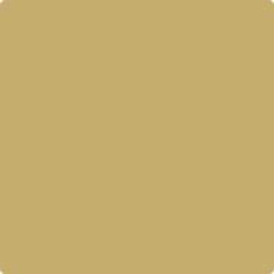 Shop the paint color HC-14 Princeton Gold by Benjamin Moore at Anderson Paint Company in Ann Arbor, Michigan.