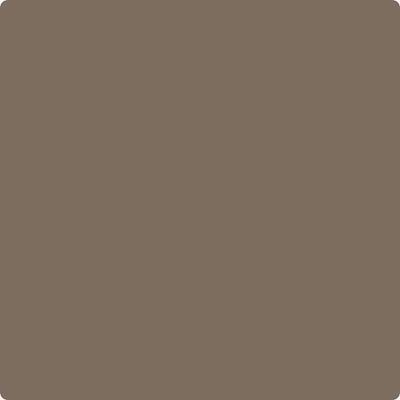 Shop the paint color HC-69 Whitall Brown by Benjamin Moore at Anderson Paint Company in Ann Arbor, Michigan.